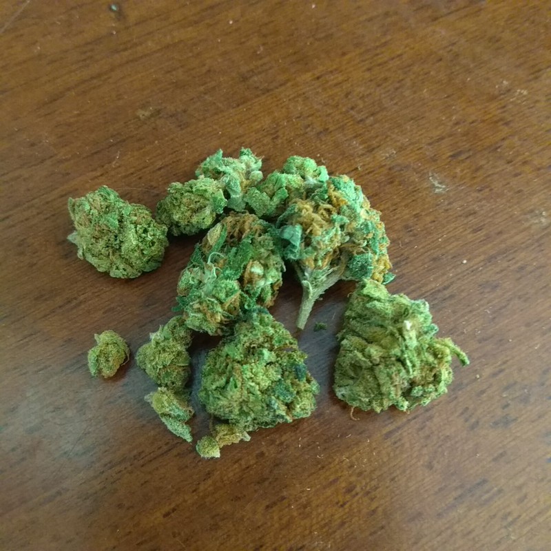 Pineapple Express Cannabista